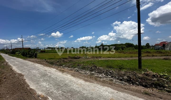 Tanah SHM Godean dengan Nuansa Alam Hijau 5 Menit ke Ringroad