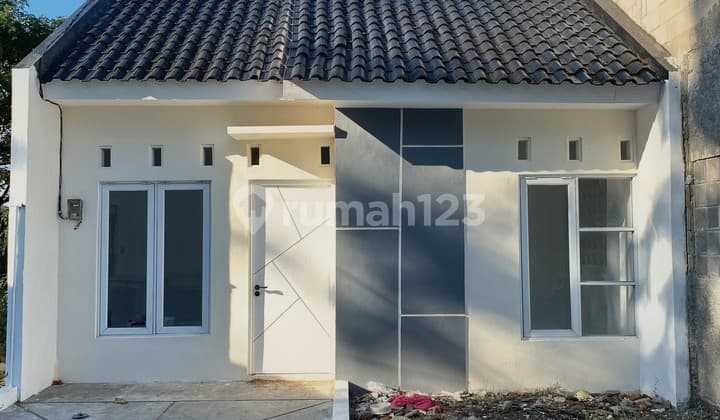 Cheap House in North Solo