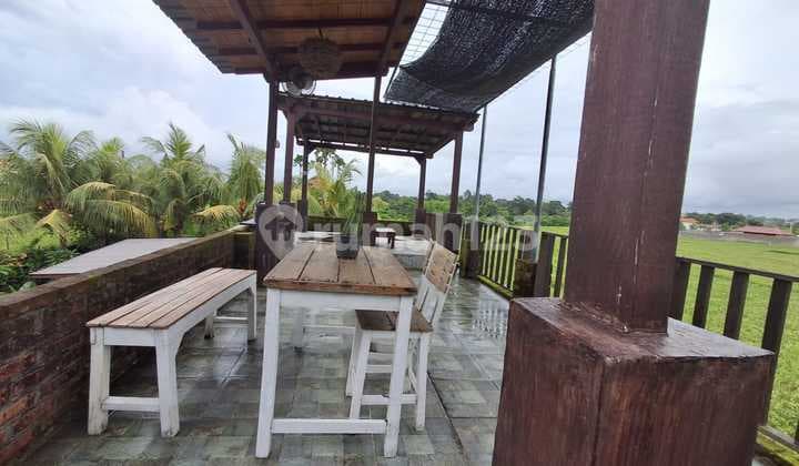 For Rent: A Villa with a Peaceful Living Space and Rice Field Surroundings. The villa offers fresh, pollution-free air, ideal for those truly seeking comfort and tranquility away from noise.