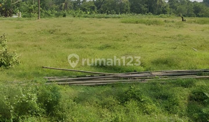 The Cheapest Land in Cikeusal Serang Ready to Build
