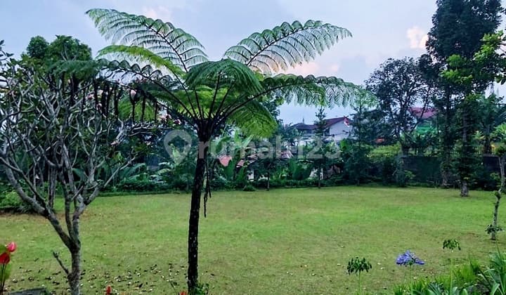 Tanah di Puncak Strategis Dekat Hotel Seruni Puncak Taman Safari