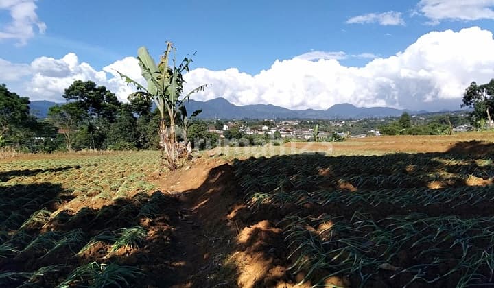 Tanah Puncak Bogor Good View Best Location. Strategis Bebas Macet