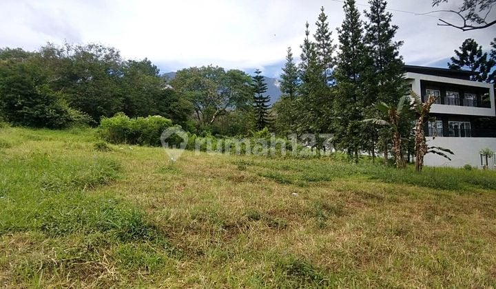 Tanah Dalam Komplek Pesona Alam Puncak. Tanah Bagus Strategis