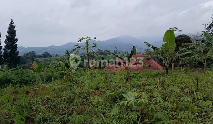 Tanah di Puncak Bogor Good View. Bagus untuk Villa Hotel