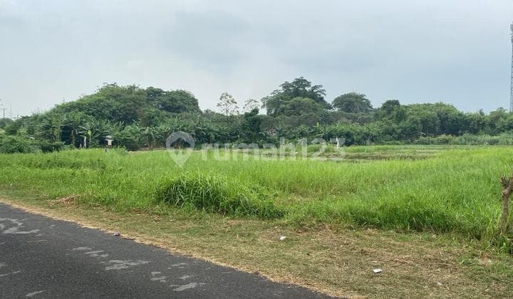 Harga Dibawah NJOP Nego Sampai Jadi Tanah Karawang