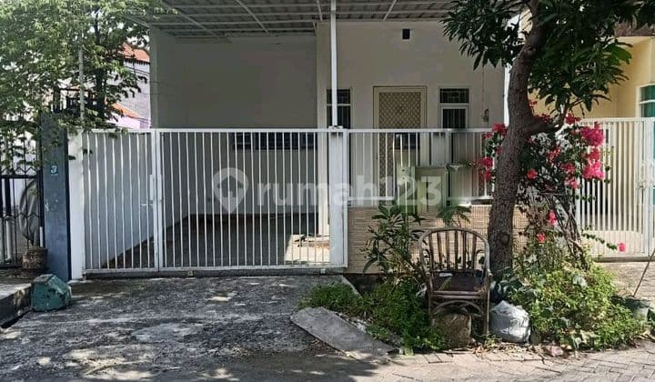 Disewakan Rumah 2 Lantai Di Ploso Timur Surabaya