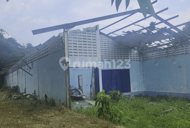 Jual Cepat Tanah Luas 6.085M2, Harga Total 1,1 M di Ciampea,Bogor