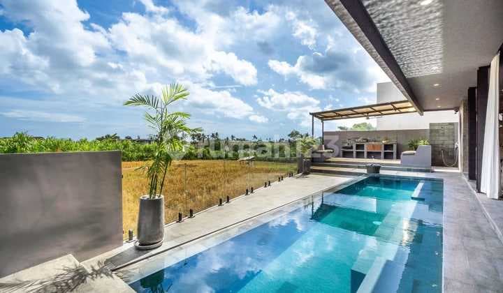 New Villa 5 Br In Tumbak Bayuh Rice Field View