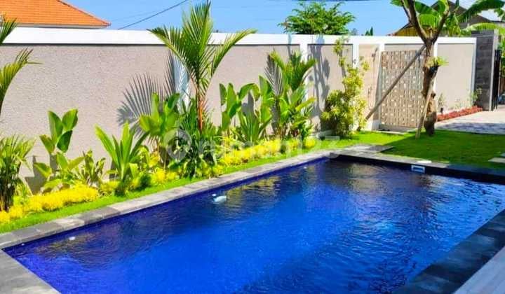 Villa 3 Br In Lovina Rice Field View Quite Area