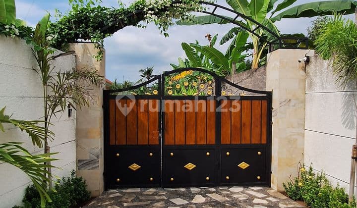 Forsale Big Land 15 Are Modern Villa 3 Br In Lovina