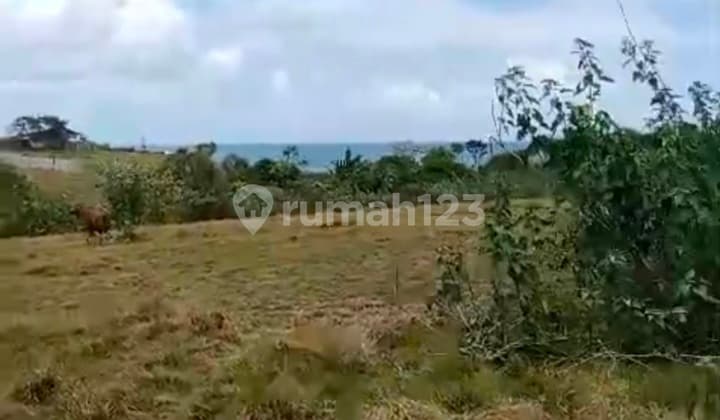 Forsale Land In Beraban Nuanu Area Near Luna Beach Club And Nyanyi Beach