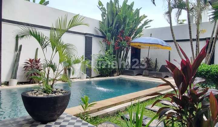 For Rent & For Sale Villa 5 Bedrooms In Canggu