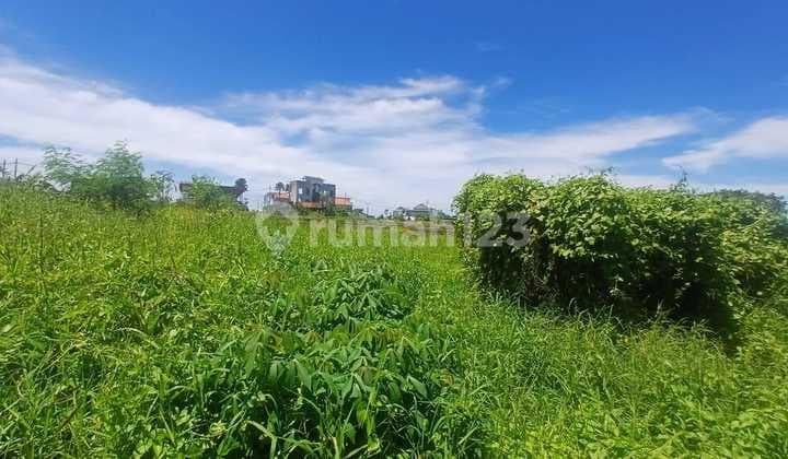 Forsale Land 2,13 Are In Cemagi Umalalang Pink Zona