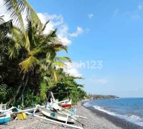 Forsale Beach Front Land 20 Are In Kubutambahan Buleleng