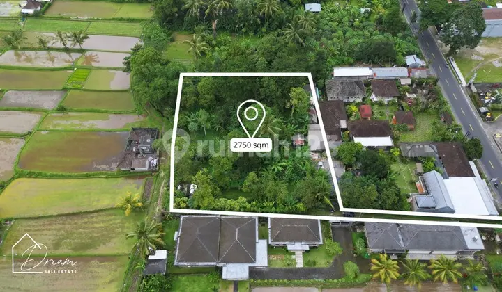 Forsale Land In Bedugul Area Premium Location