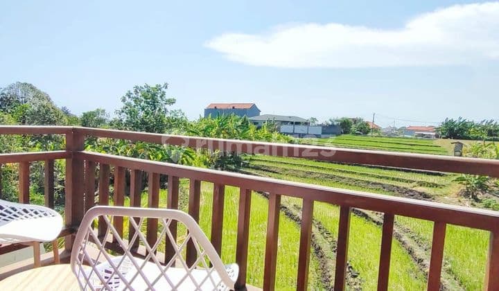 Monthly Rent Villa 2 Br In Babakan Canggu Rice Field View