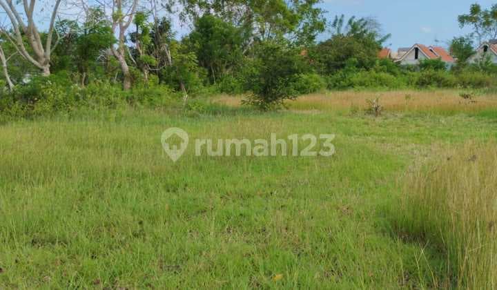 Leasehold Cheap Land 1 Hectar In Pecatu Yellow Zona
