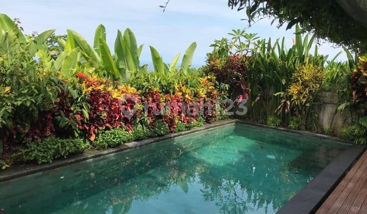 Monthly Rent Villa 3 Br In Pecatu Ocean And Jungle View
