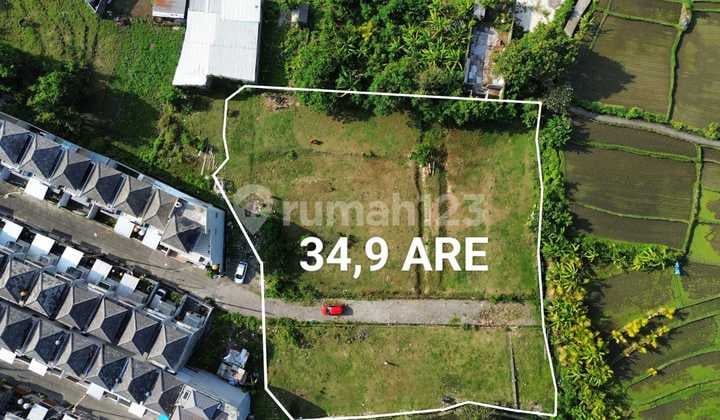 Forsale Land In Tumbak Bayuh Munggu Complex Villa