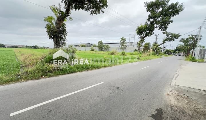 Land in Red Zone for Sale Solo Di.gatak Sukoharjo