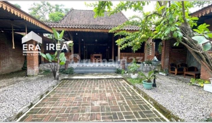 Ruang Usaha Dijual Boyolali di Dekat Kantor Dprd Ruang Usaha Dijual Boyolali di Dekat Kantor Dprd