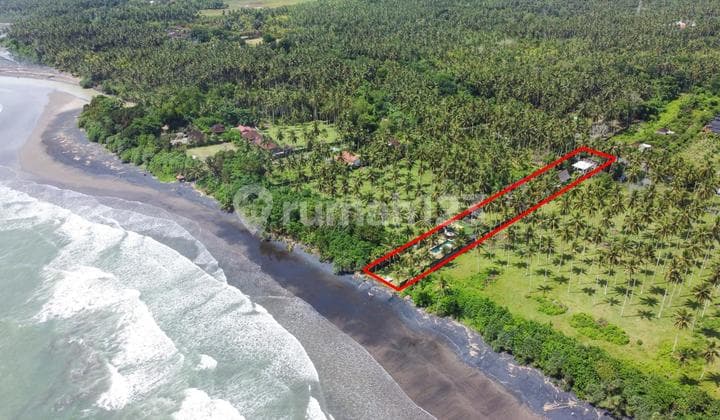 Villa For Sale Pangeragoan Jembrana By Local Property Team