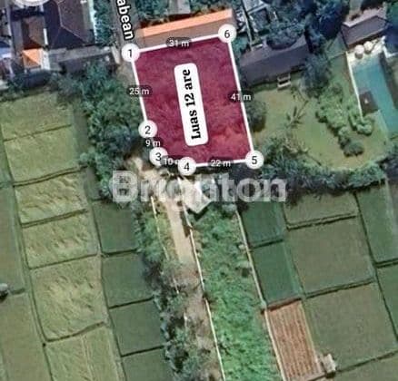 The Elite Enclave: Lahan Premium 12 Are di Kawasan Vila Mewah Pantai Pabean, Ketewel.