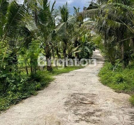 Investasi Masa Depan: Lahan Datar Siap Bangun di Kawasan Sunrise Pantai Saba