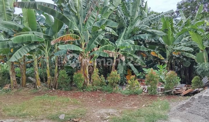 Dua Tnah Kapling Siap Bangun dengan Harga Spesial Dalam Kmplek di Bukit Cinere