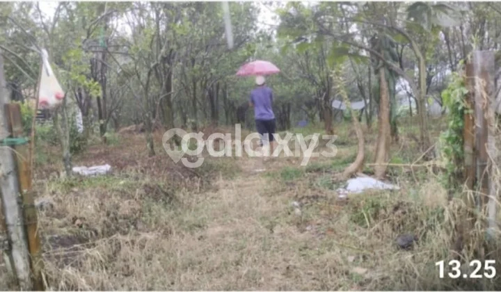 Land for sale Land for sale