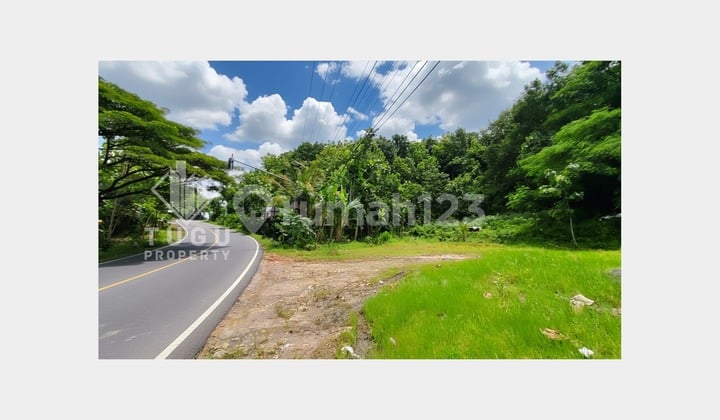 Land for Sale Jogja Prambanan Wonosari, Near Heha Sky View, Pictniq Land, Bukit Bintang