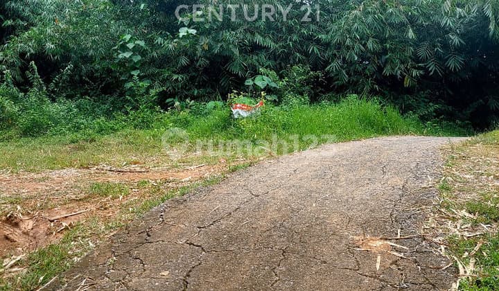 Dijual Tanah Darat Perbukitan Cocok Untuk Investasi