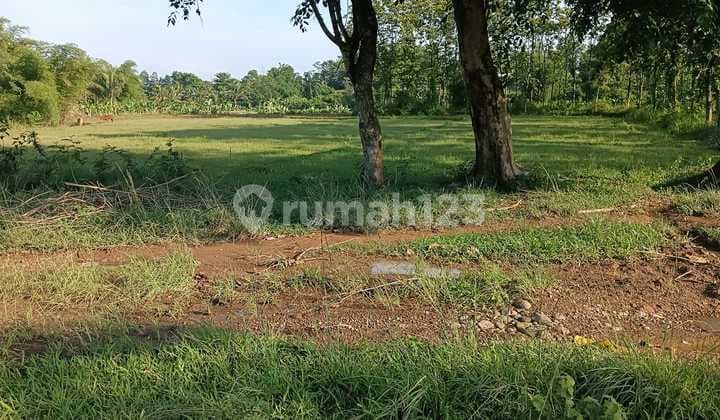 Dijual Tanah Luas di Sirnarasa Tanjungsari Jonggol Jawa Barat