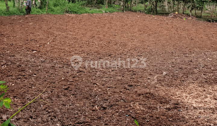Tanah Siap Bangun Lokasi di Kemang Bogor