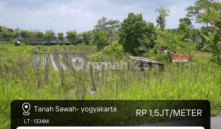 Tanah Sawah di Sleman Yogyakarta Dekat dengan Rs Pku Sleman dan Mall Sch