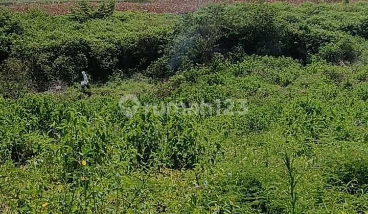 Tanah Siap Bangun di Pematang Siantar Sangat Ideal untuk Pembangunan Perumahan