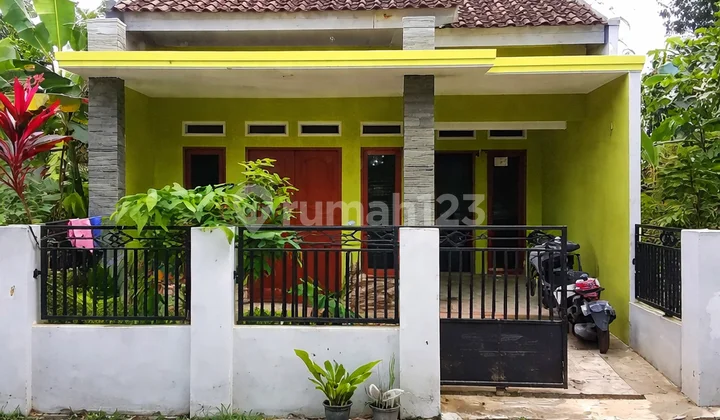 Rumah Murah di Pesawaran Lampung Dekat dengan Sekolah