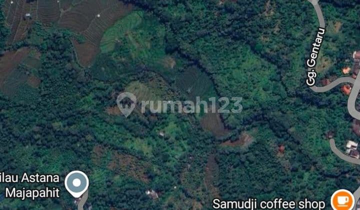 Tanah Perkebunan Siap Olah Wonosalam Jombang