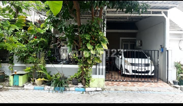 Dijual Murah Perum Griya Mulya Candi Sidoarjo