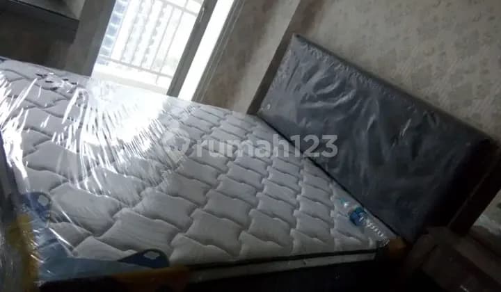 Orchard Pakuwon Mall apartment for rent cheap