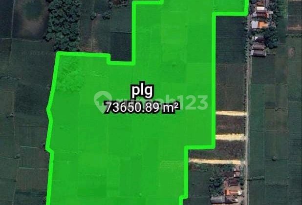 For Quick Sale, Prime Location on Provincial Main Road, Balongpanggang Subdistrict, Gresik Regency For Quick Sale, Prime Location on Provincial Main Road, Balongpanggang Subdistrict, Gresik Regency