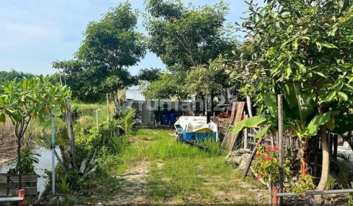 Dijual Tanah Strategis di Medokan Ayu Surabaya Timur Dekar Akses ke Oerr