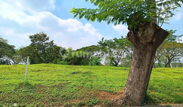 Dijual Kavling Bukit Golf Citraland Surabaya Dijual Kavling Bukit Golf Citraland Surabaya