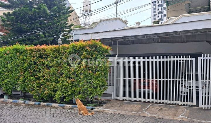 Rumah Manyar Kertoarjo I/68 Surabaya Timur