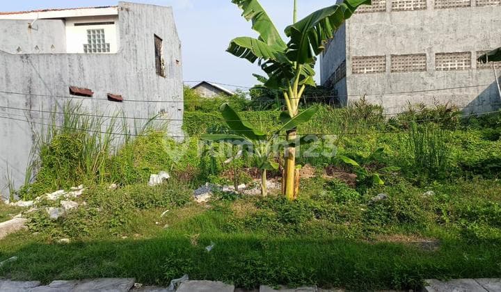 Dijual Tanah Bebas Banjir di Bulak Kali Tinjang Surabaya Dekat Pantai Kenjeran