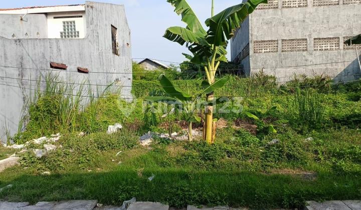 Dijual Tanah Bebas Banjir di Bulak Kali Tinjang Surabaya Dekat Pantai Kenjeran