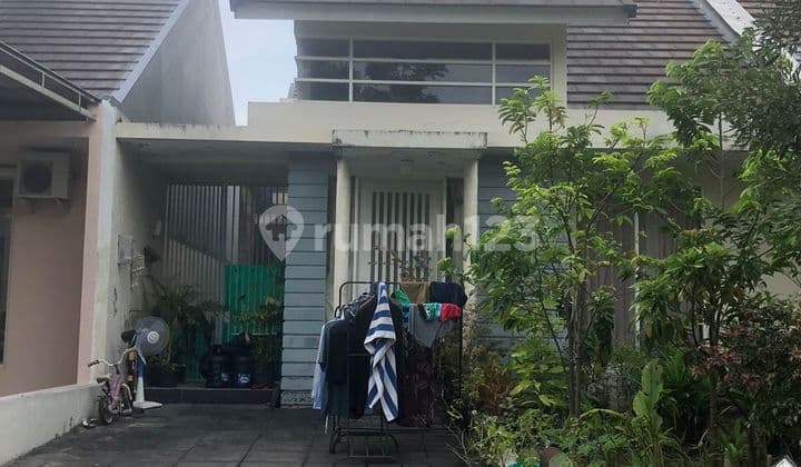 Hot Nego Sampai Deal Rumah Palma Grandia Citraland Utara