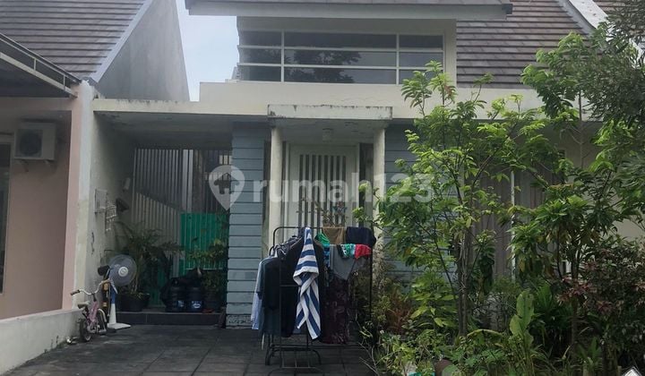 Hot Nego Sampai Deal Rumah Palma Grandia Citraland Utara