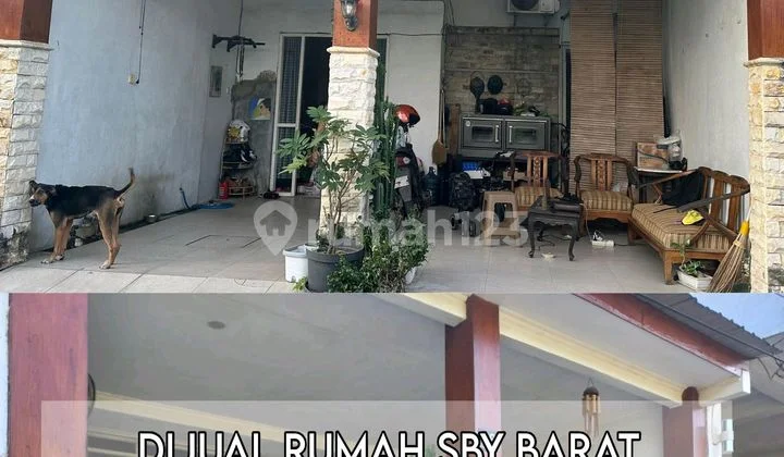 Dijamin Termurah Rumah Nego Sampai Jadi di Kemilau Griyaku Regency Surabaya Barat Dijamin Termurah Rumah Nego Sampai Jadi di Kemilau Griyaku Regency Surabaya Barat