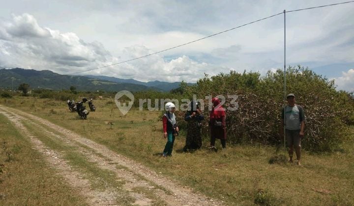 Dijual Tanah Cocok untuk Dibangun Tempat Usaha atau Rumah di Petobo Palu Sulawesi Tengah
